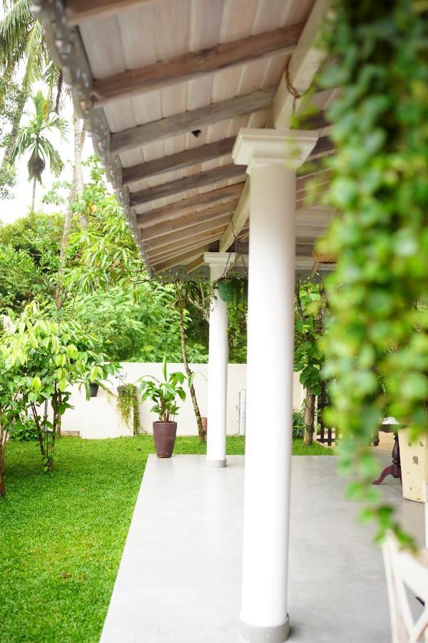 Ronaya Surf Waves Villa Dikwella Dış mekan fotoğraf