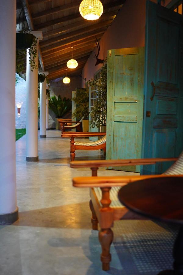 Ronaya Surf Waves Villa Dikwella Dış mekan fotoğraf