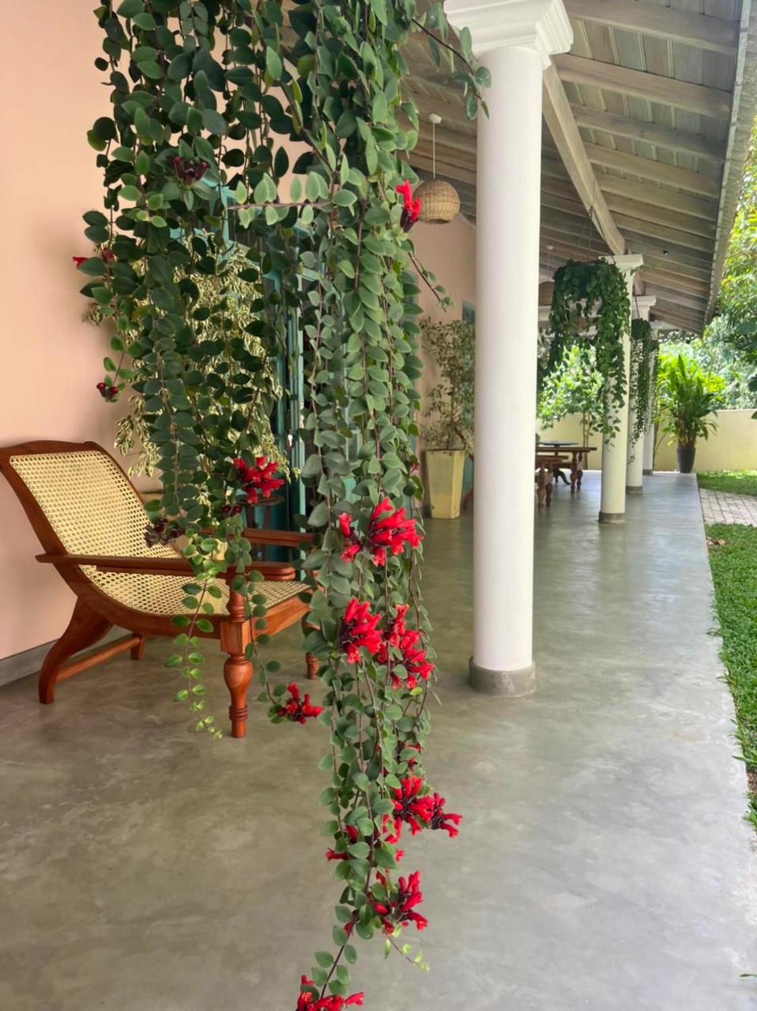 Ronaya Surf Waves Villa Dikwella Dış mekan fotoğraf