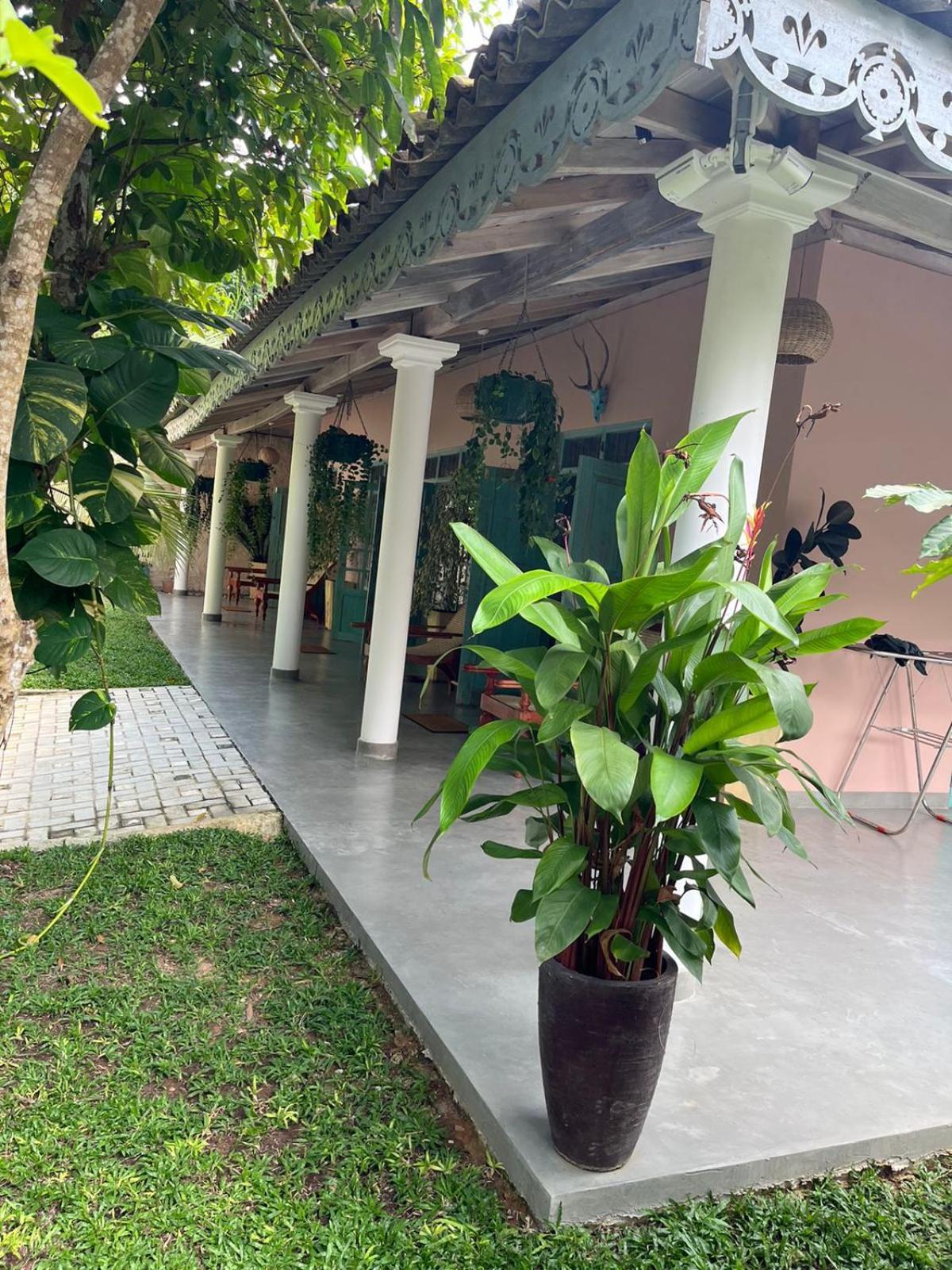 Ronaya Surf Waves Villa Dikwella Dış mekan fotoğraf